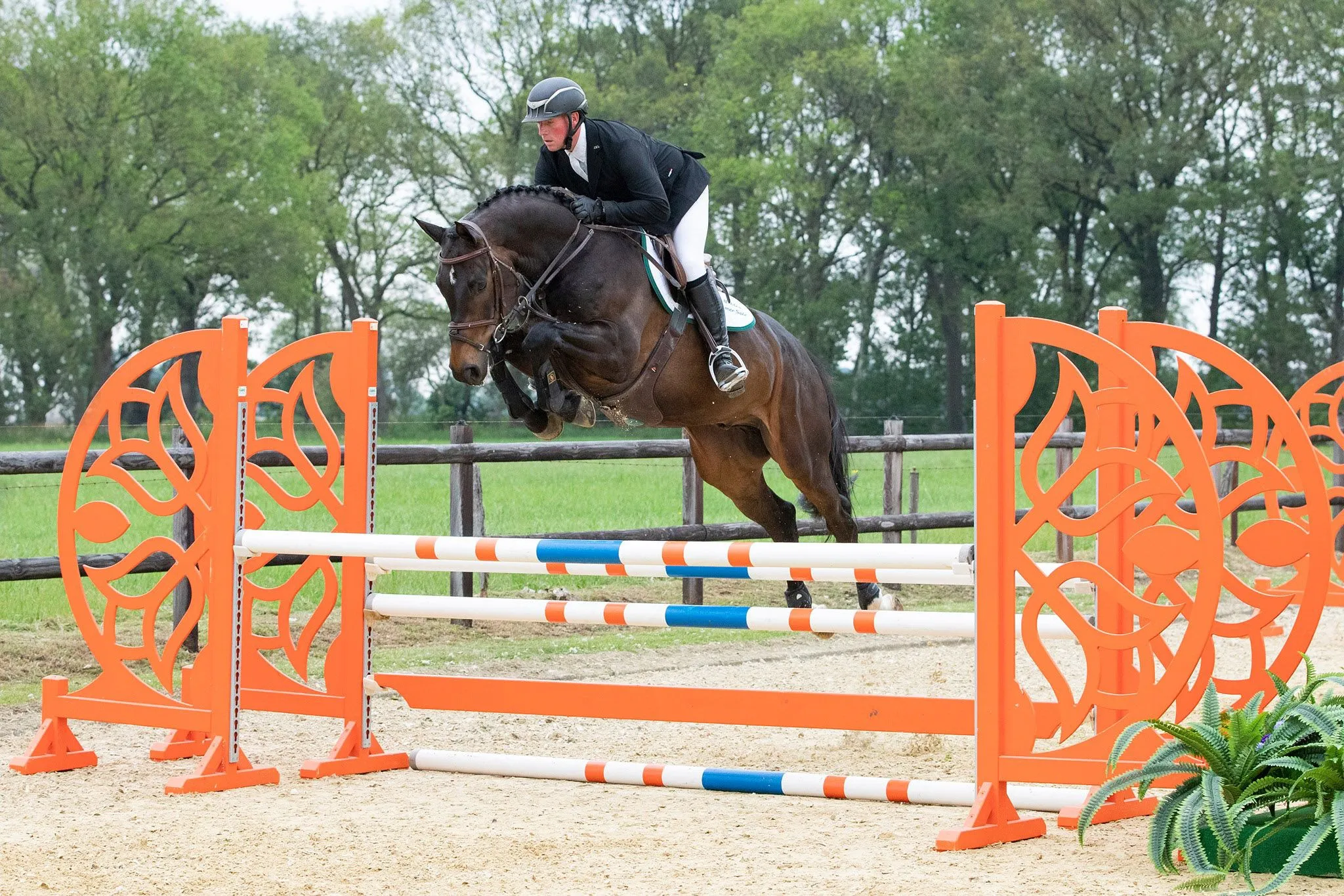 sumsale icone fp 002