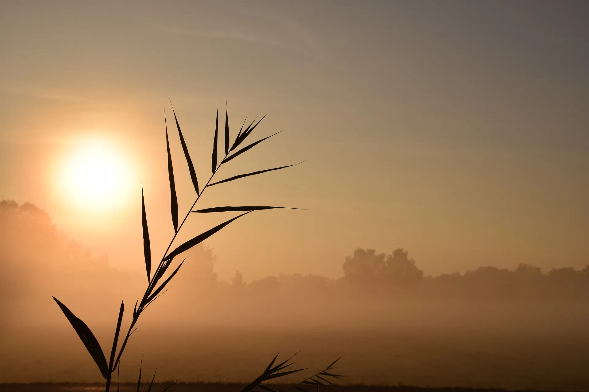 sunrise 1688100 1920