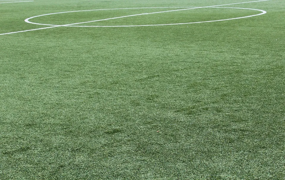 synthetic grass 1436614 960 720