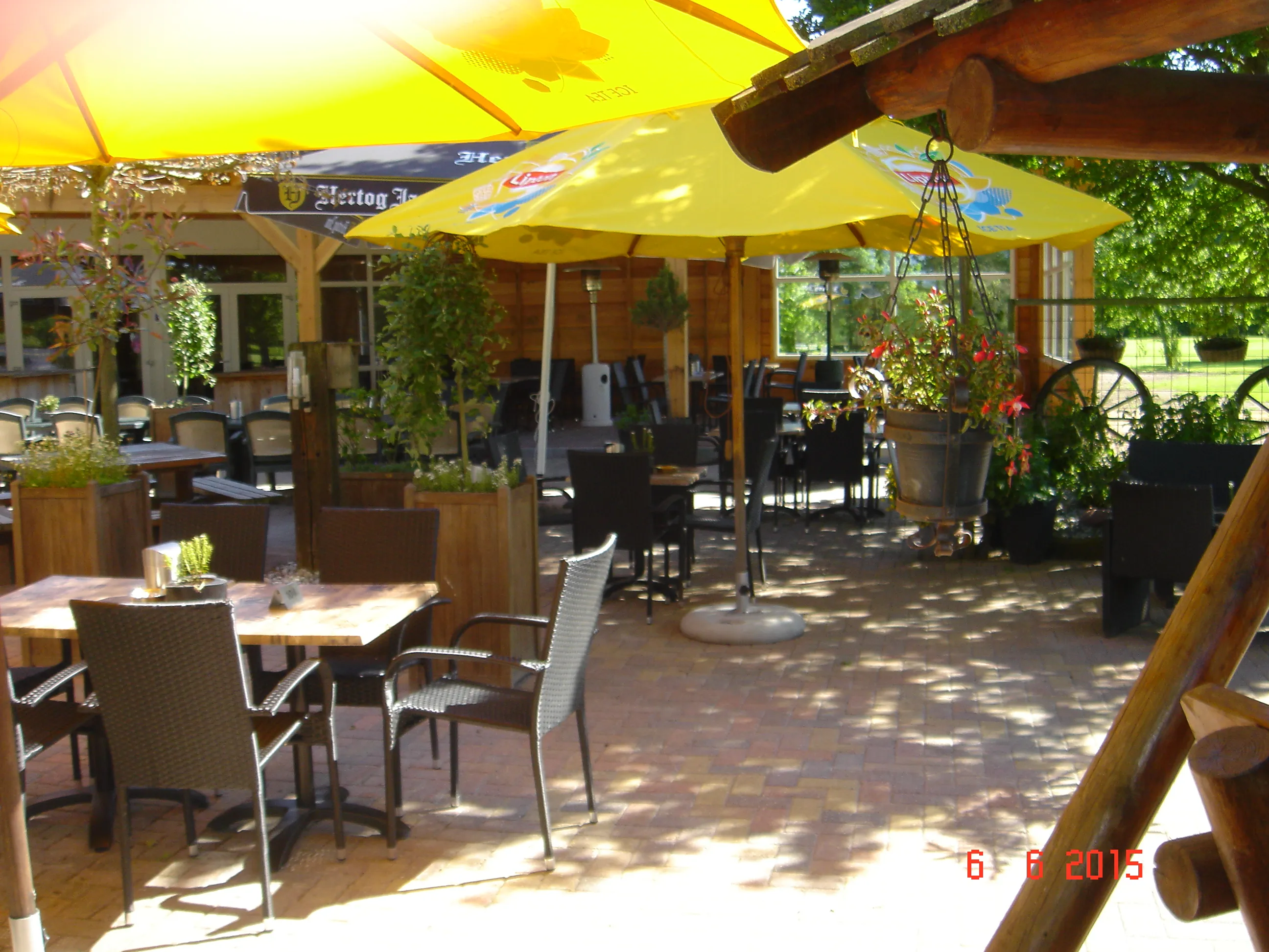 terras