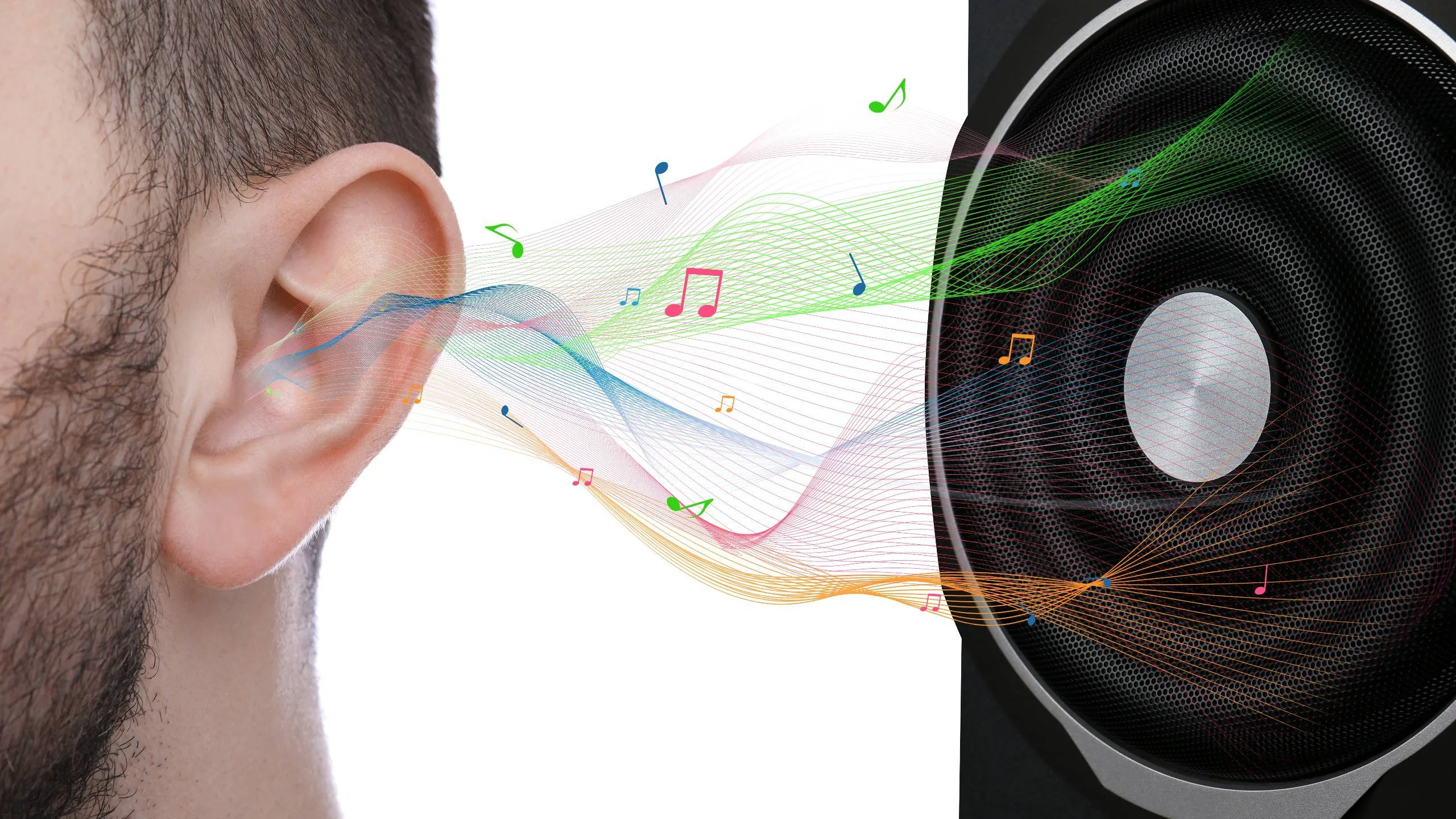 treantgehoorschade muziek