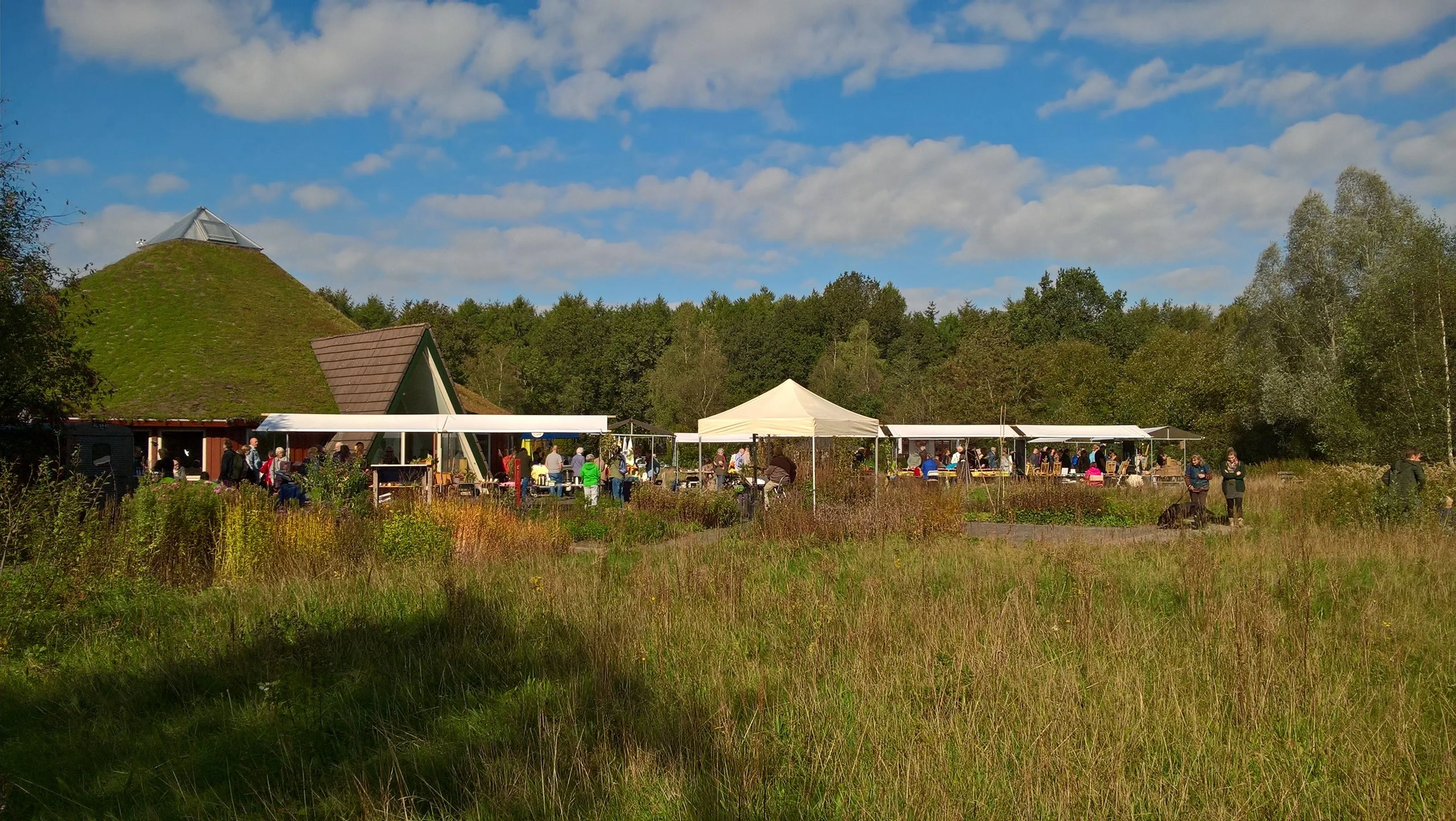 tuinmarkt 2019 janneke van gerwen 002