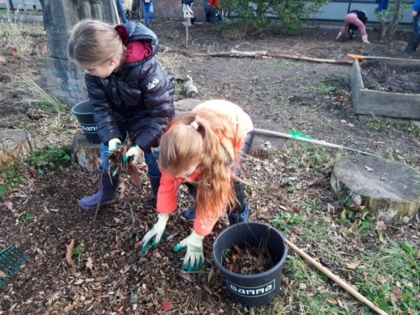 veeningen tuin veldboeket2