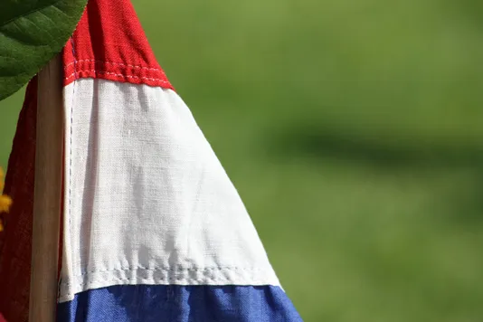 vlag