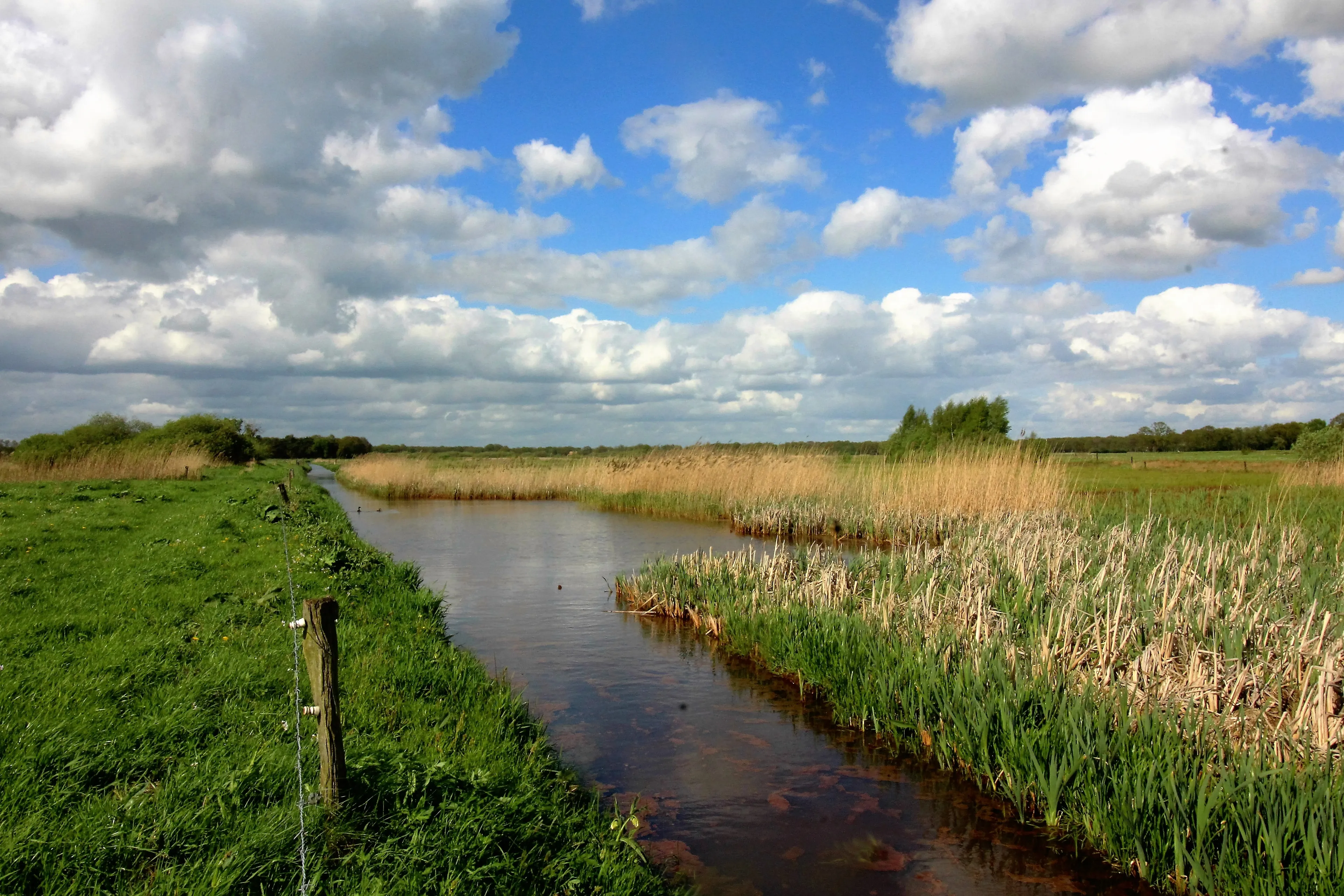 vledders en leijerhooilanden