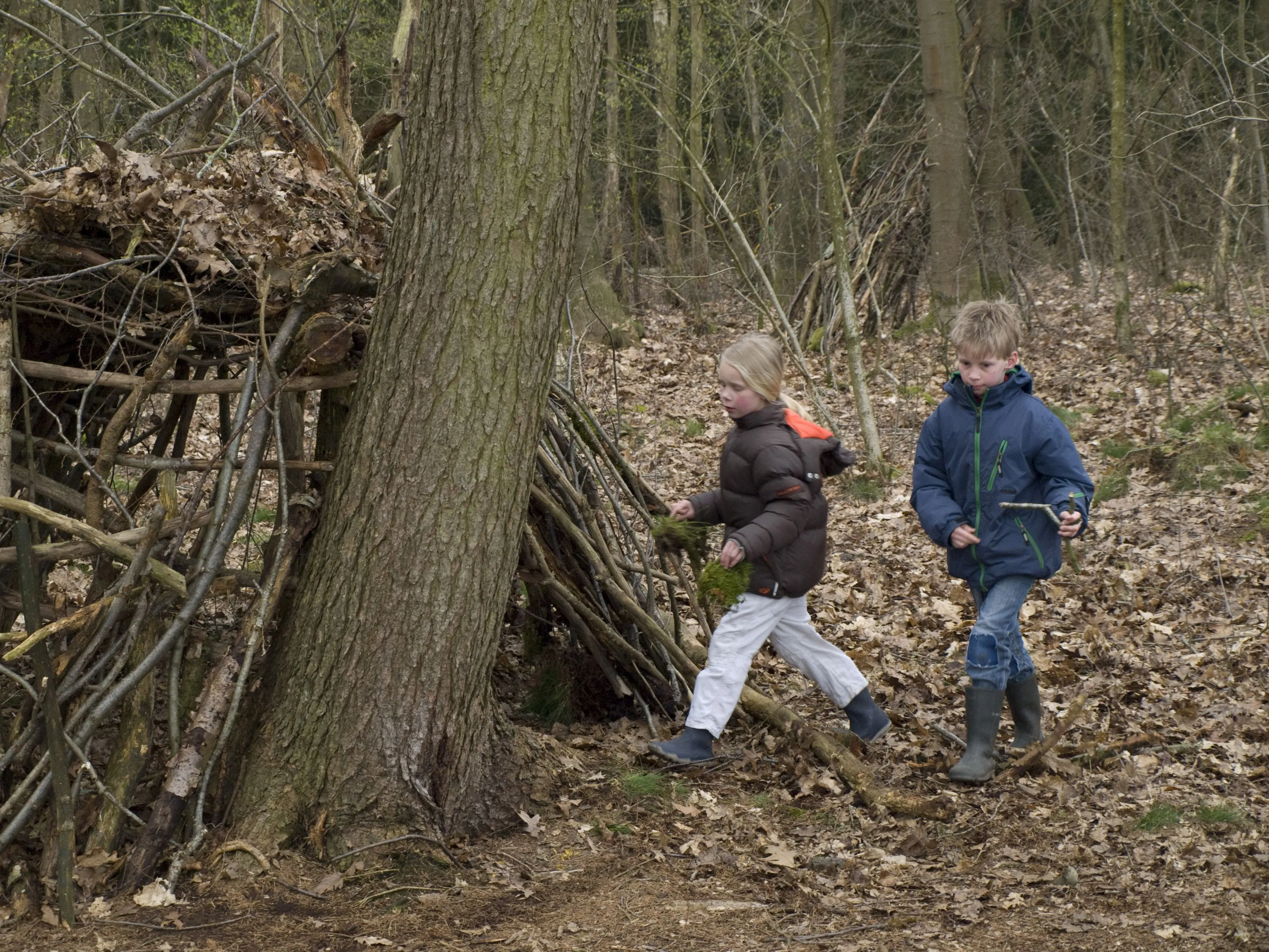 voorjaarsvakantie dwingelderveld