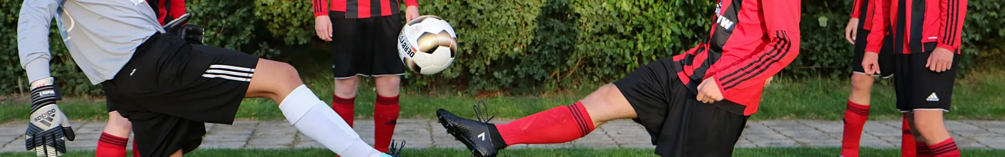 vv zuidwolde