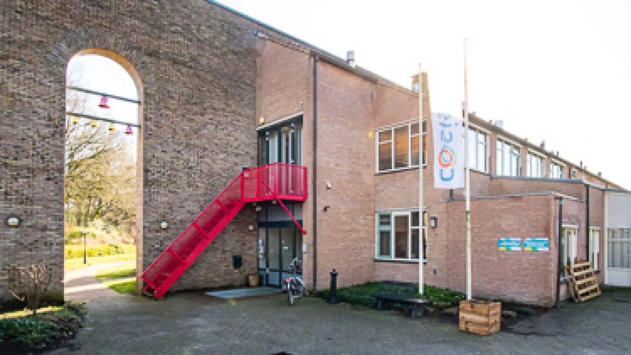 waringin zuidwolde 7