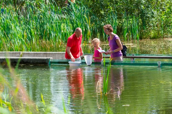 waterdiertjesvangen