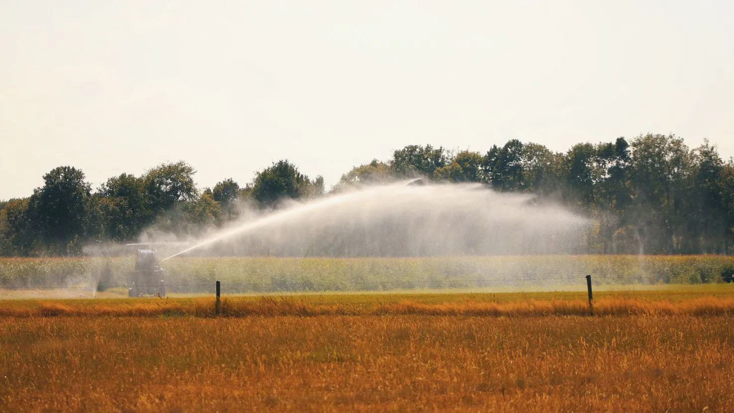 wdod beregening gewas