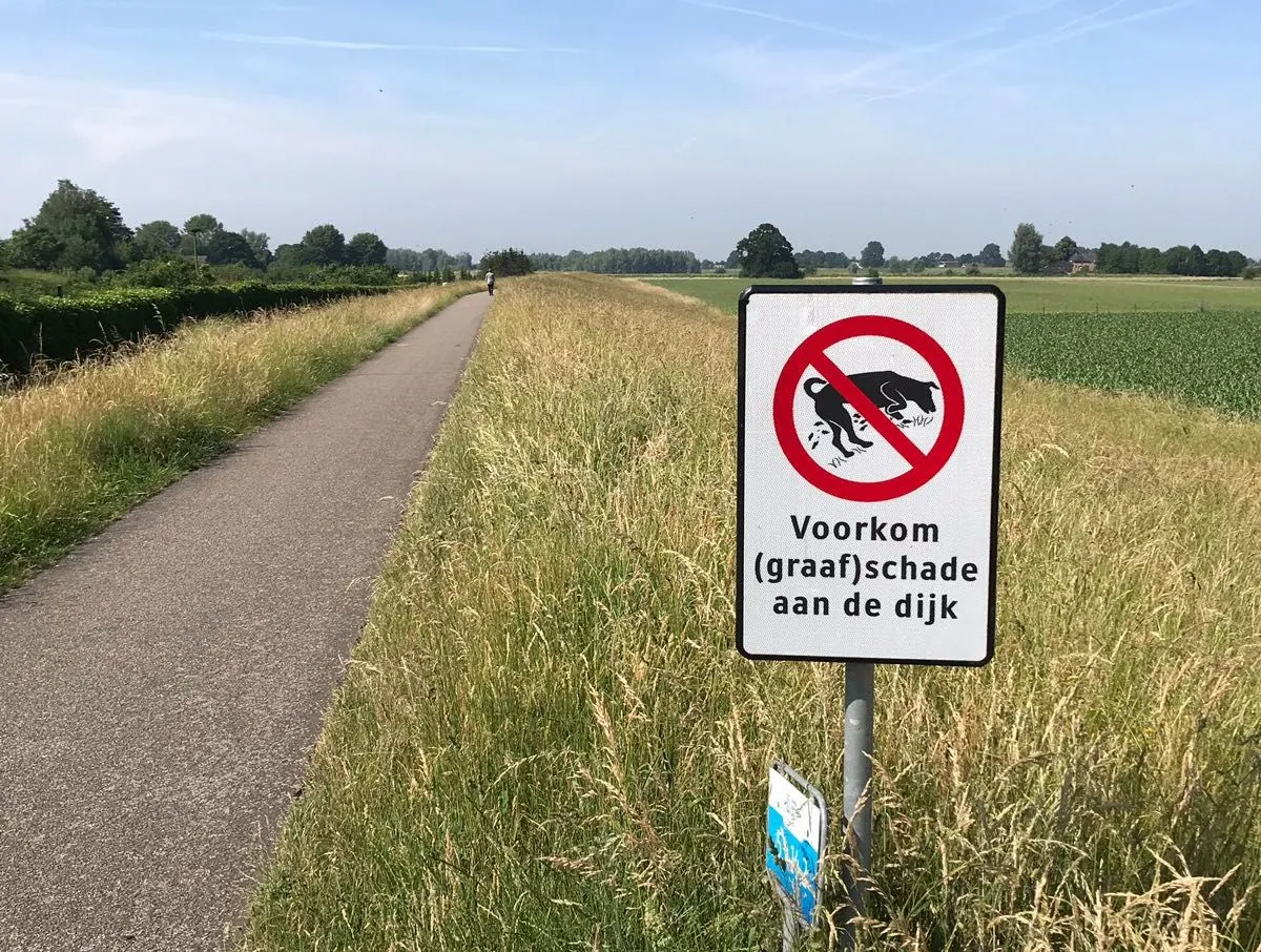wdod schade dijken honden2