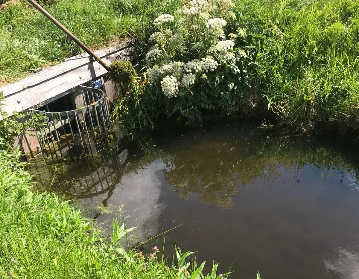 wdod schoon houden inlaat voor water doorvoer 2