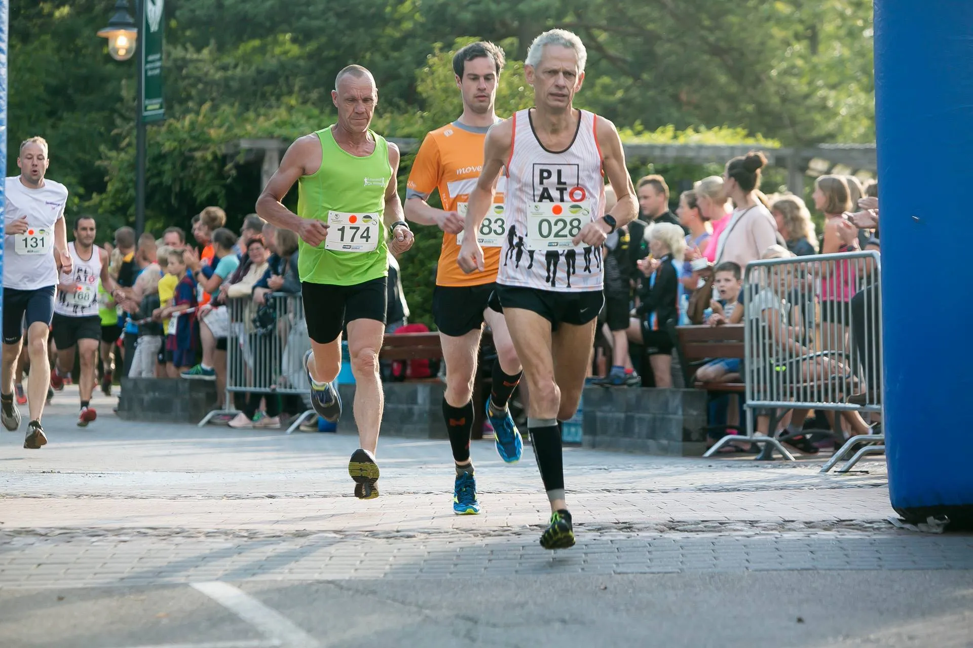 westerbergen summertrail