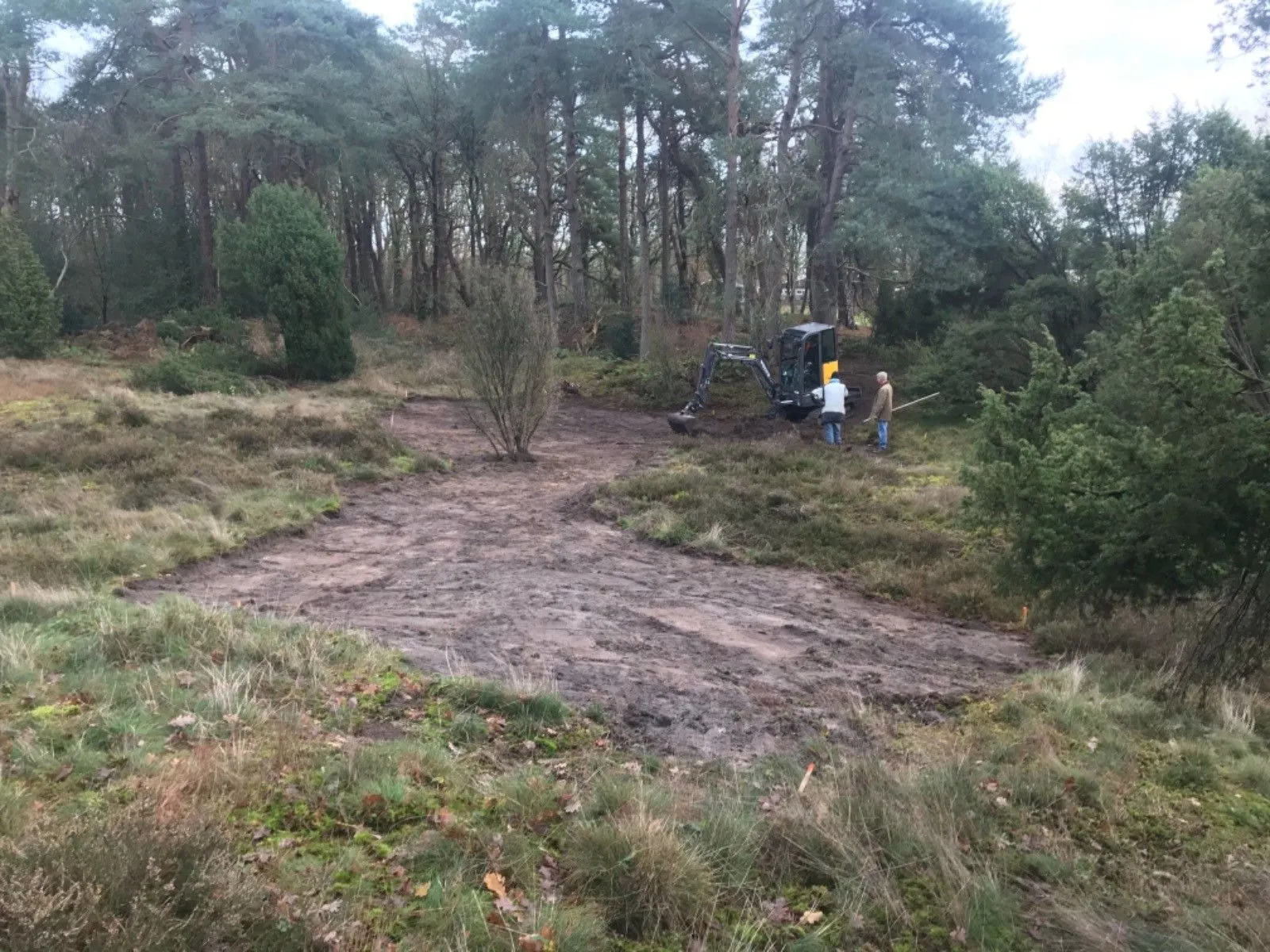 westerbork jeneverbes pieterberg 1