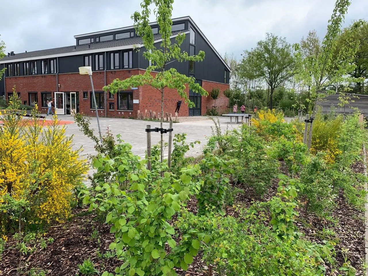 wolderwijs duurzaam5