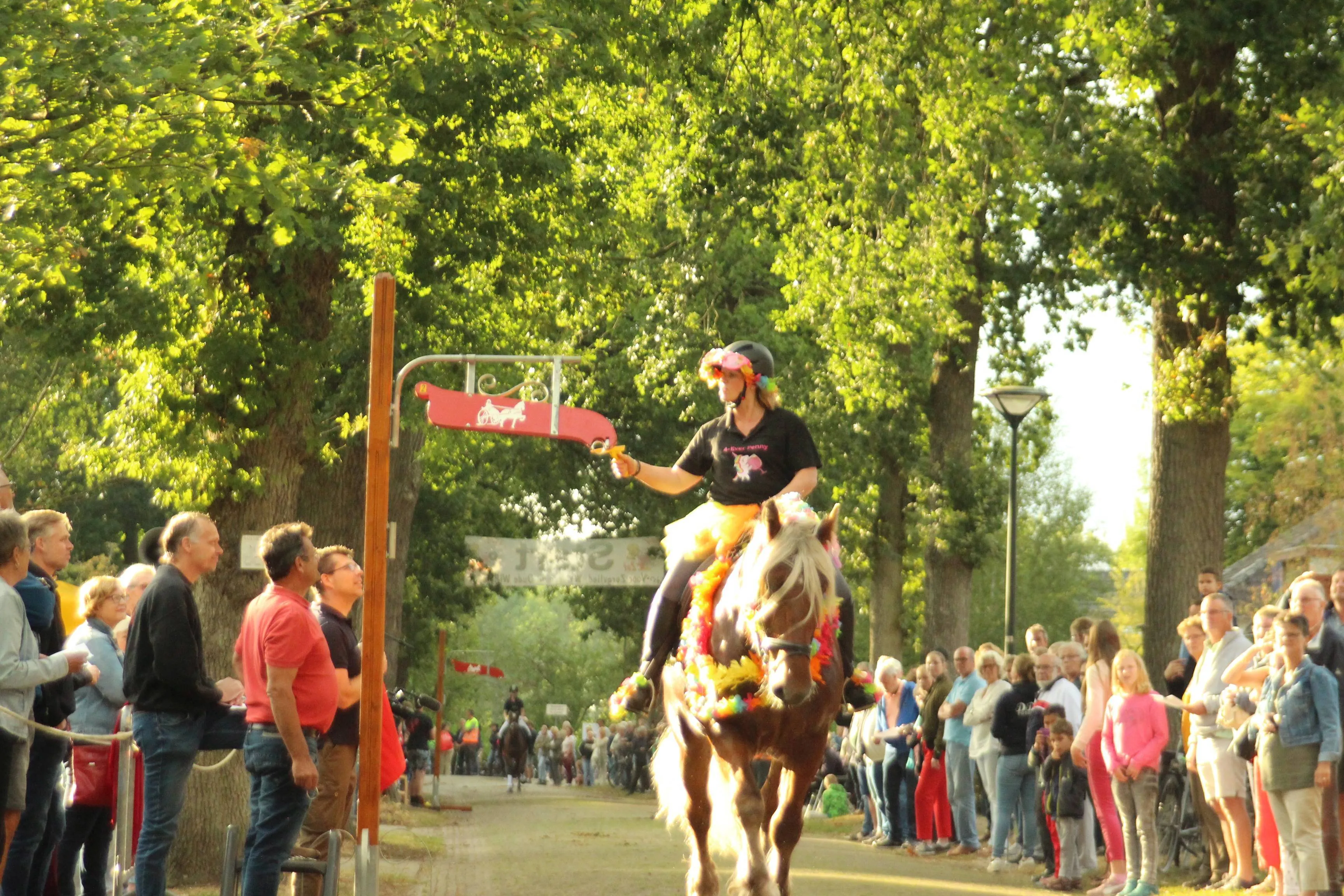 zorgvlied ringsteken
