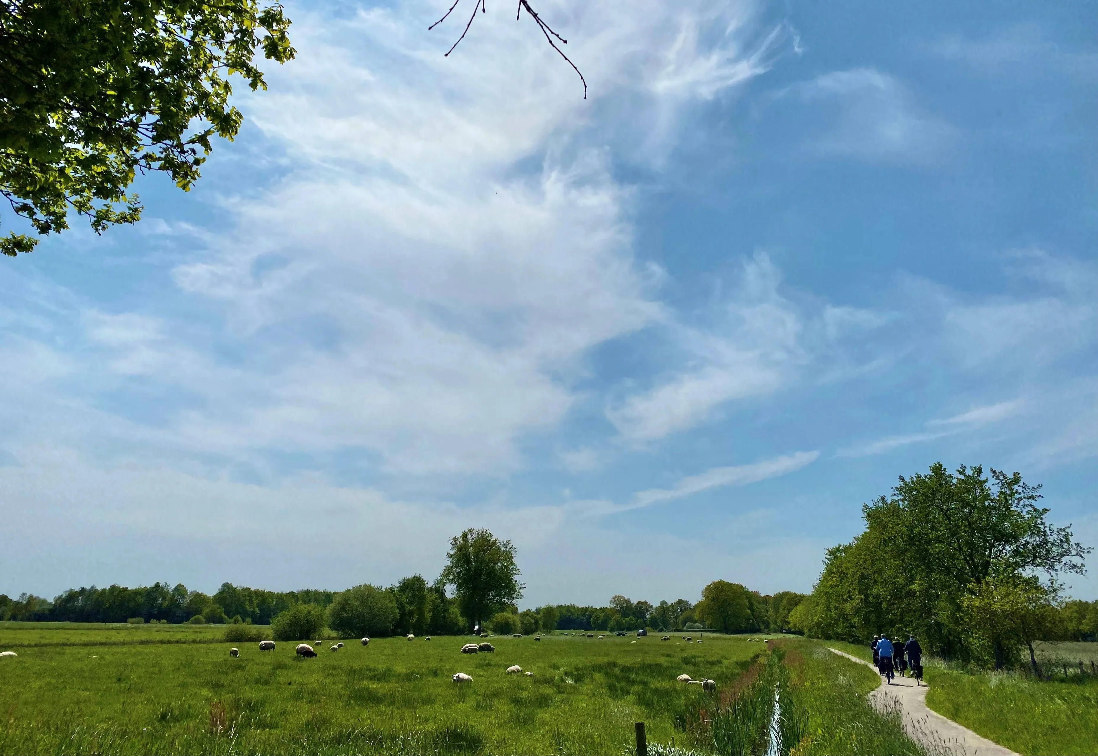 zuidwolde fotowedstrijd lammie van elp wint2