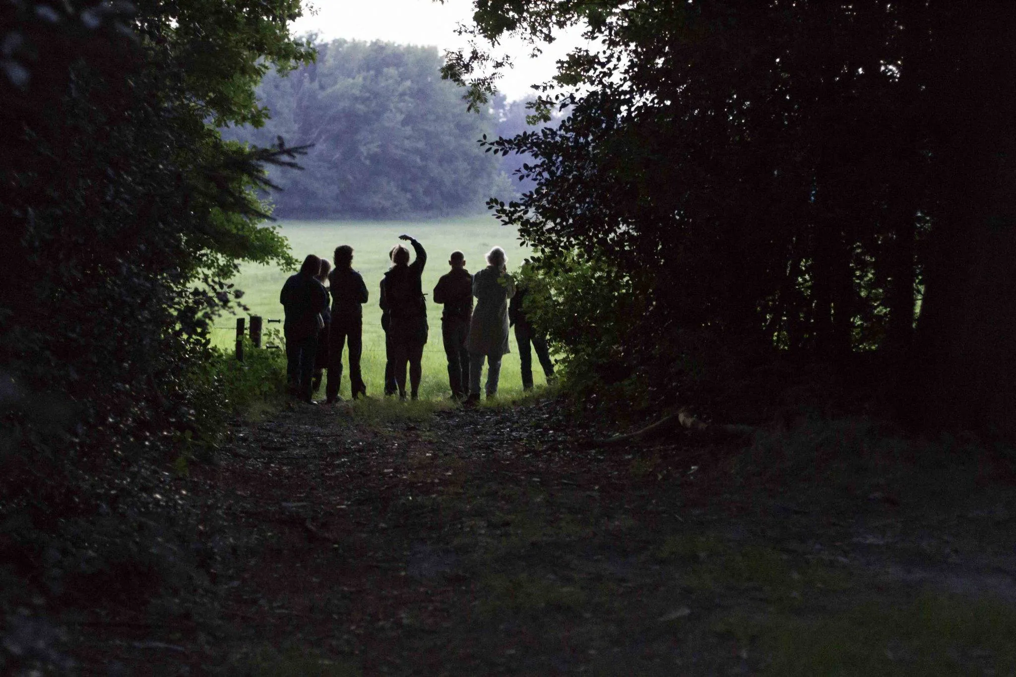 dwingeloo ivn vleermuis excursie