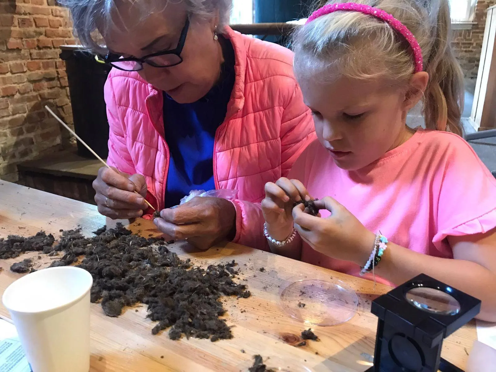 reestdal braakballen pluizen bernadette koopmans