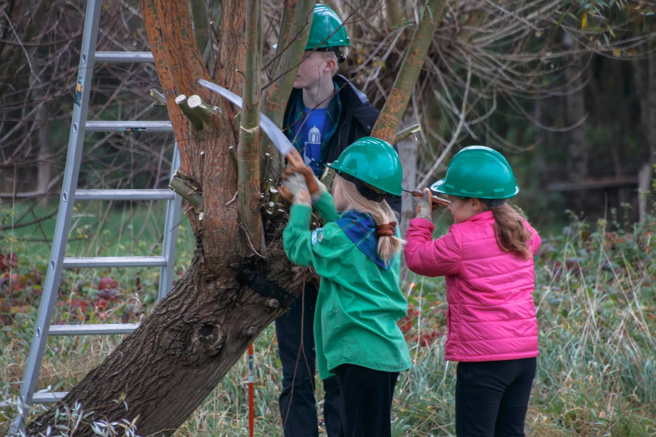 reestdal kinderen snoeien henny de joode