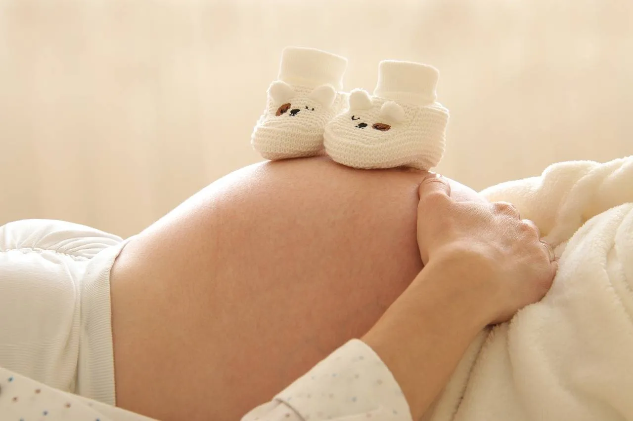 pixabay marjon horn pregnant 6189040 1280