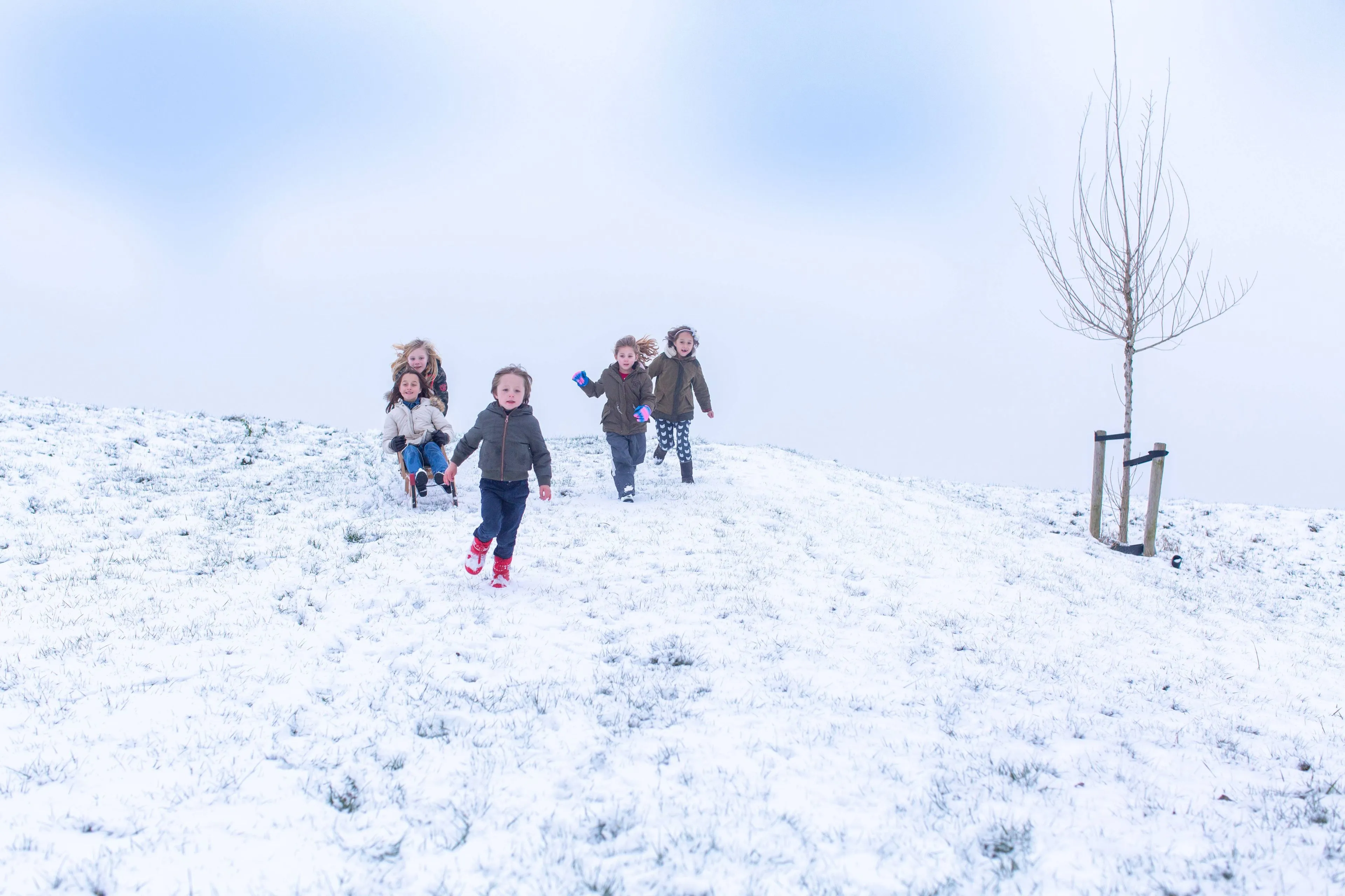 ruinen twinkelend winterfeest jord visser 5760x3840 namo99476