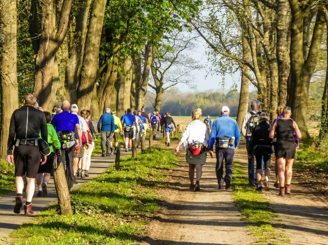 dwingeloo krentenbloesemtocht wandelvereniging dos foto francis pol