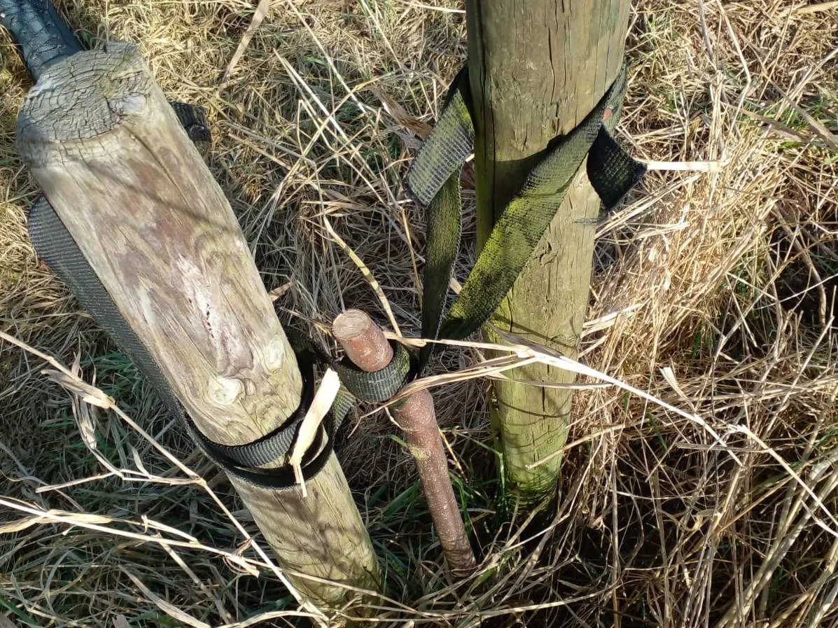 ruinerwold bijenboom vernield2