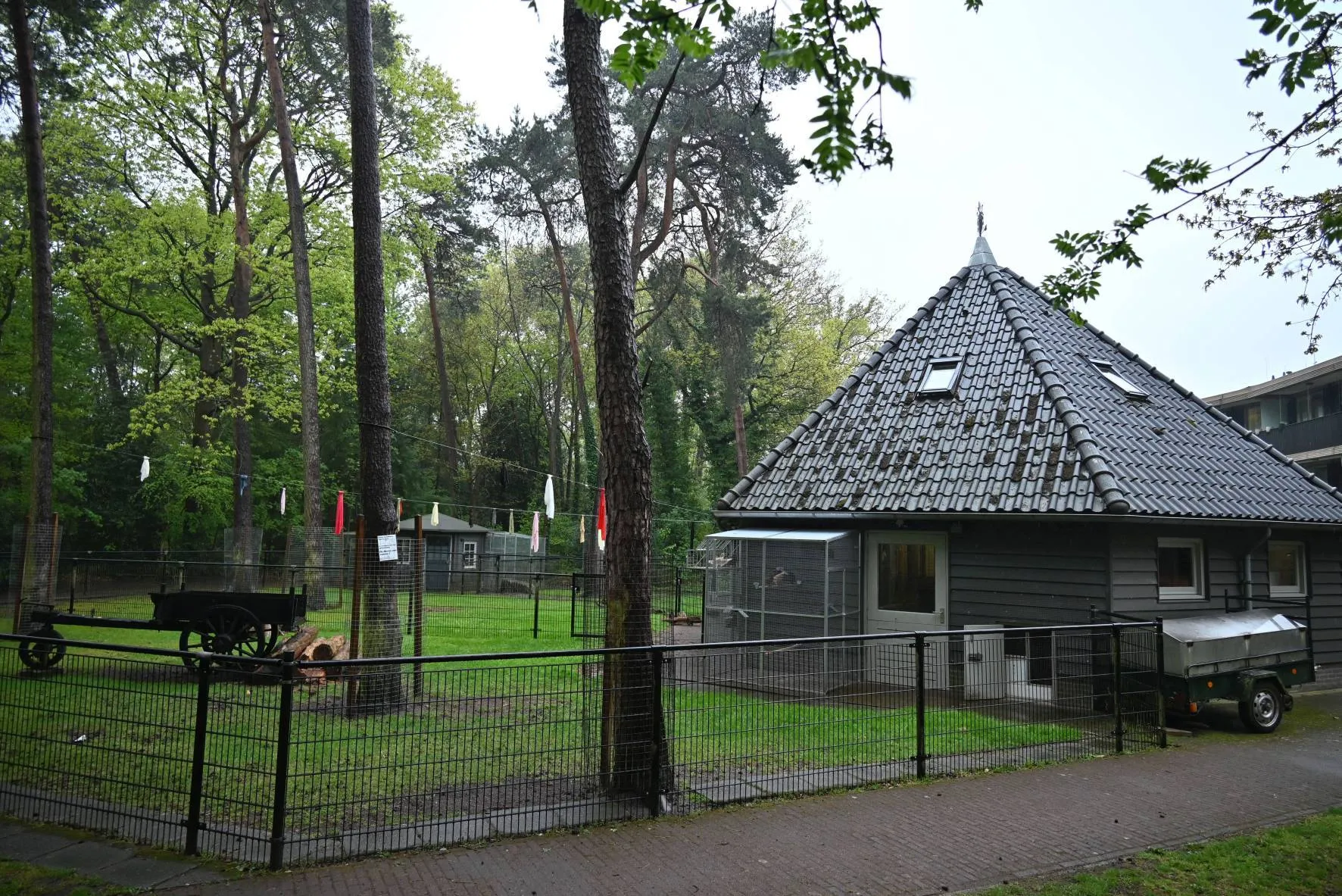 pn24042025 zuidwolde tonckens dierenpark4 klein