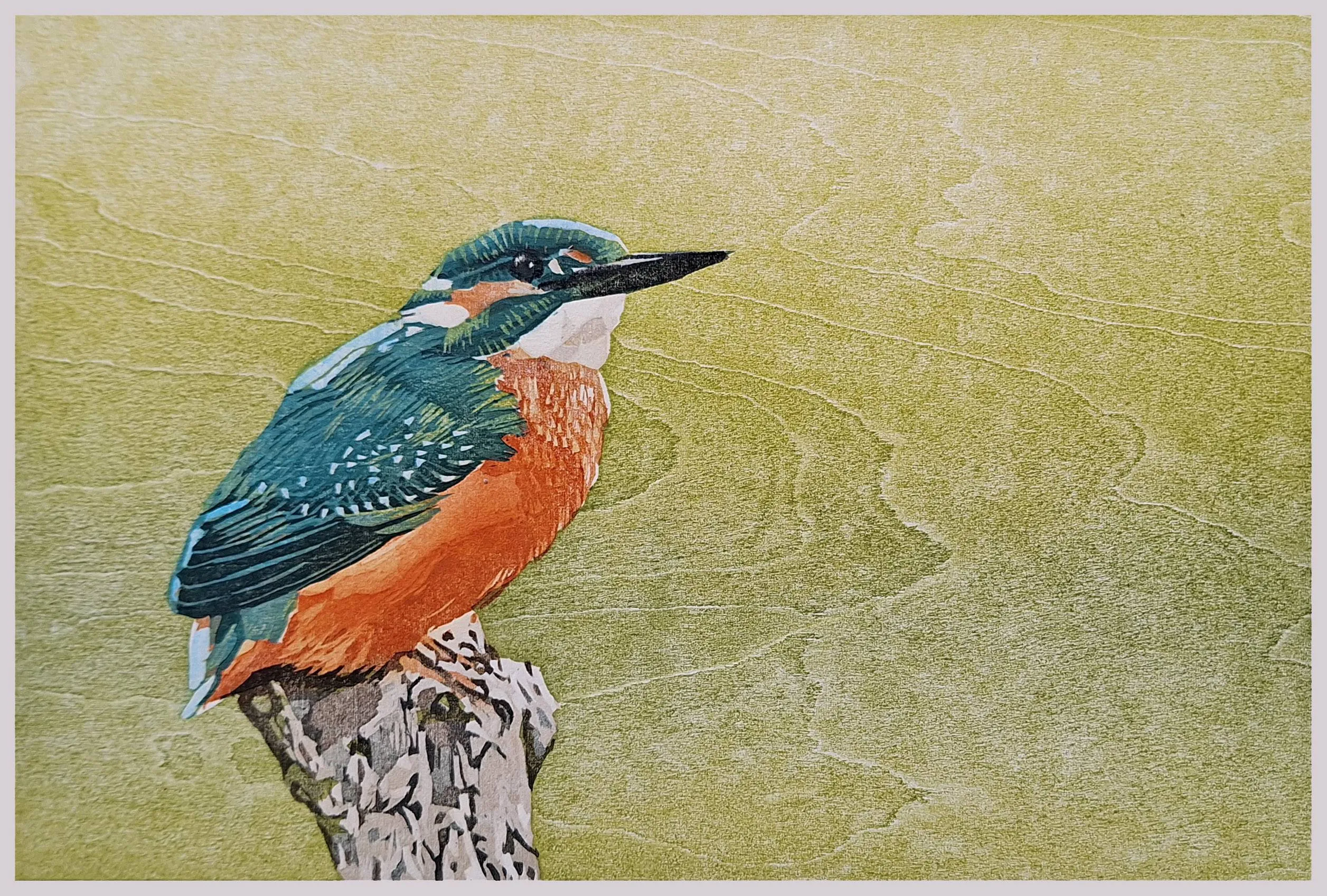 stapel wildschutserve ijsvogel c claudia vd leur