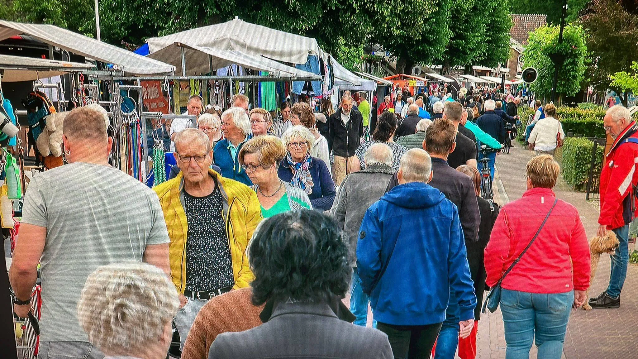 vledderfestival 1