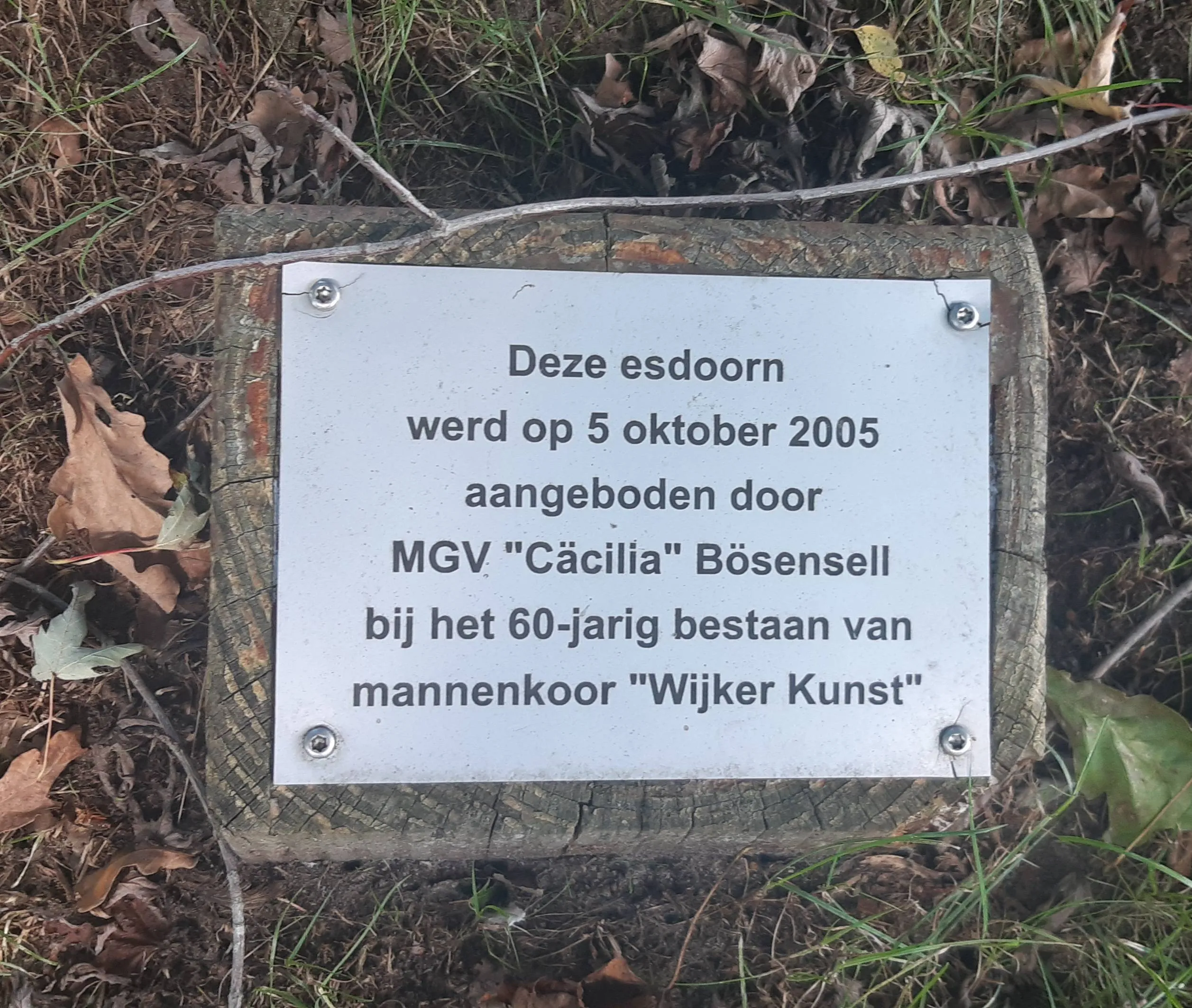 De Wijk Wijker Kunst bomen3