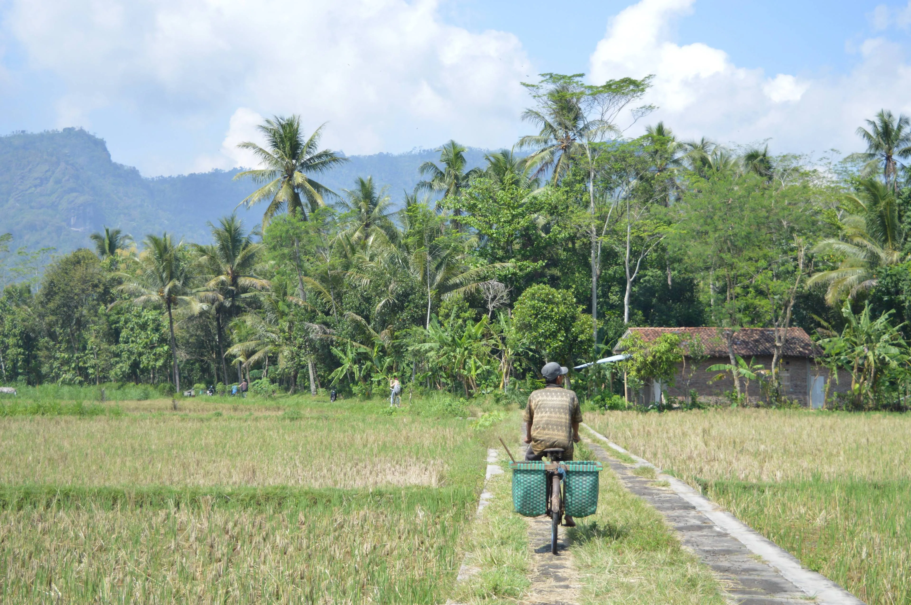 2016 Java Borobudur fietsen