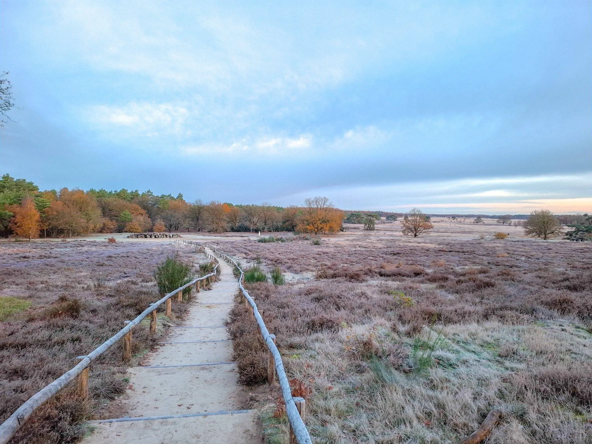 Havelte Herstelde trap Holtingerveld - C Staatsbosbeheer - Betsy Koning
