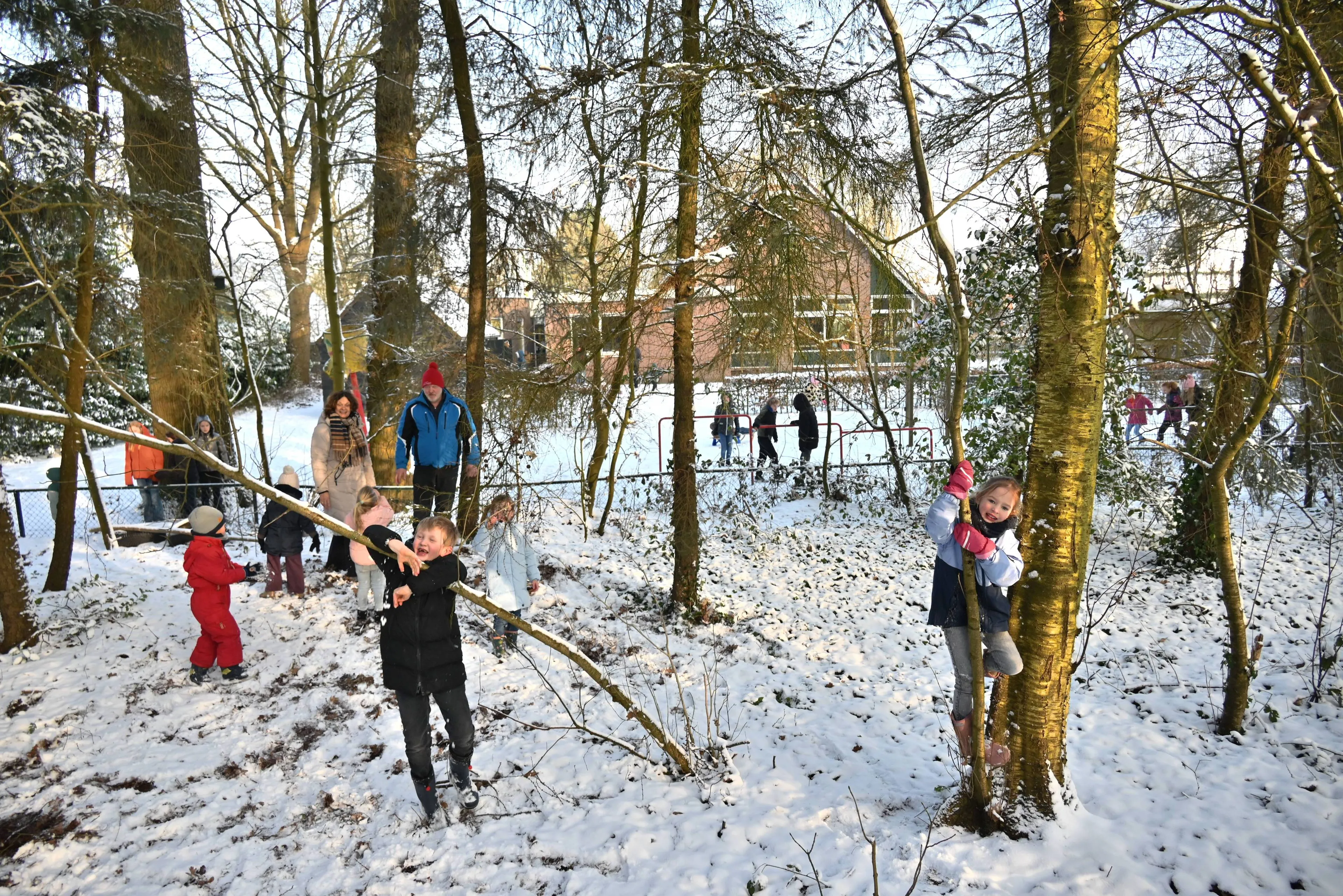 pn30012026 Kerkenveld Extra bos De Bosrand2