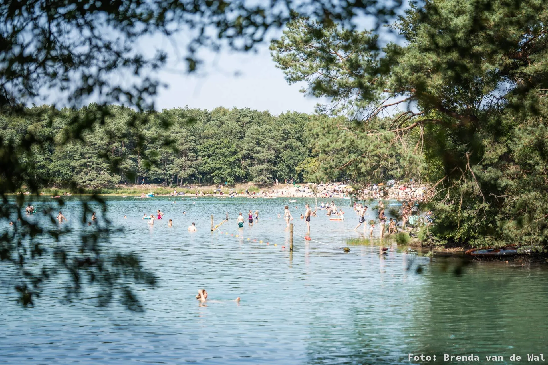 Dwingeloo Natuurmonumenten-Brenda van de Wal-watermerk-1920-MF11882 (1)