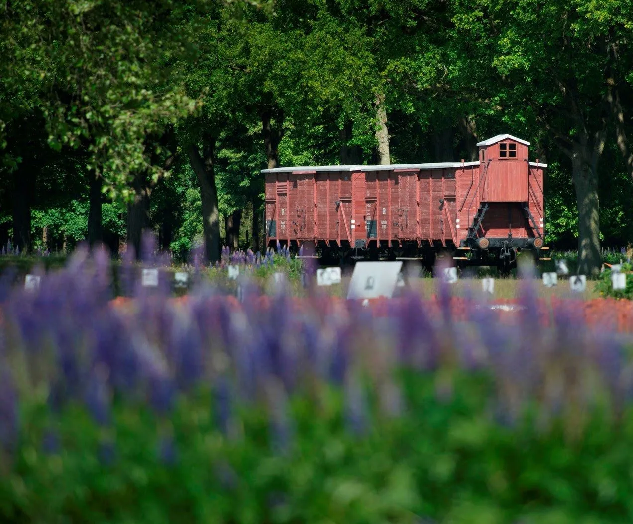 westerbork-75-jaar-bevrijding