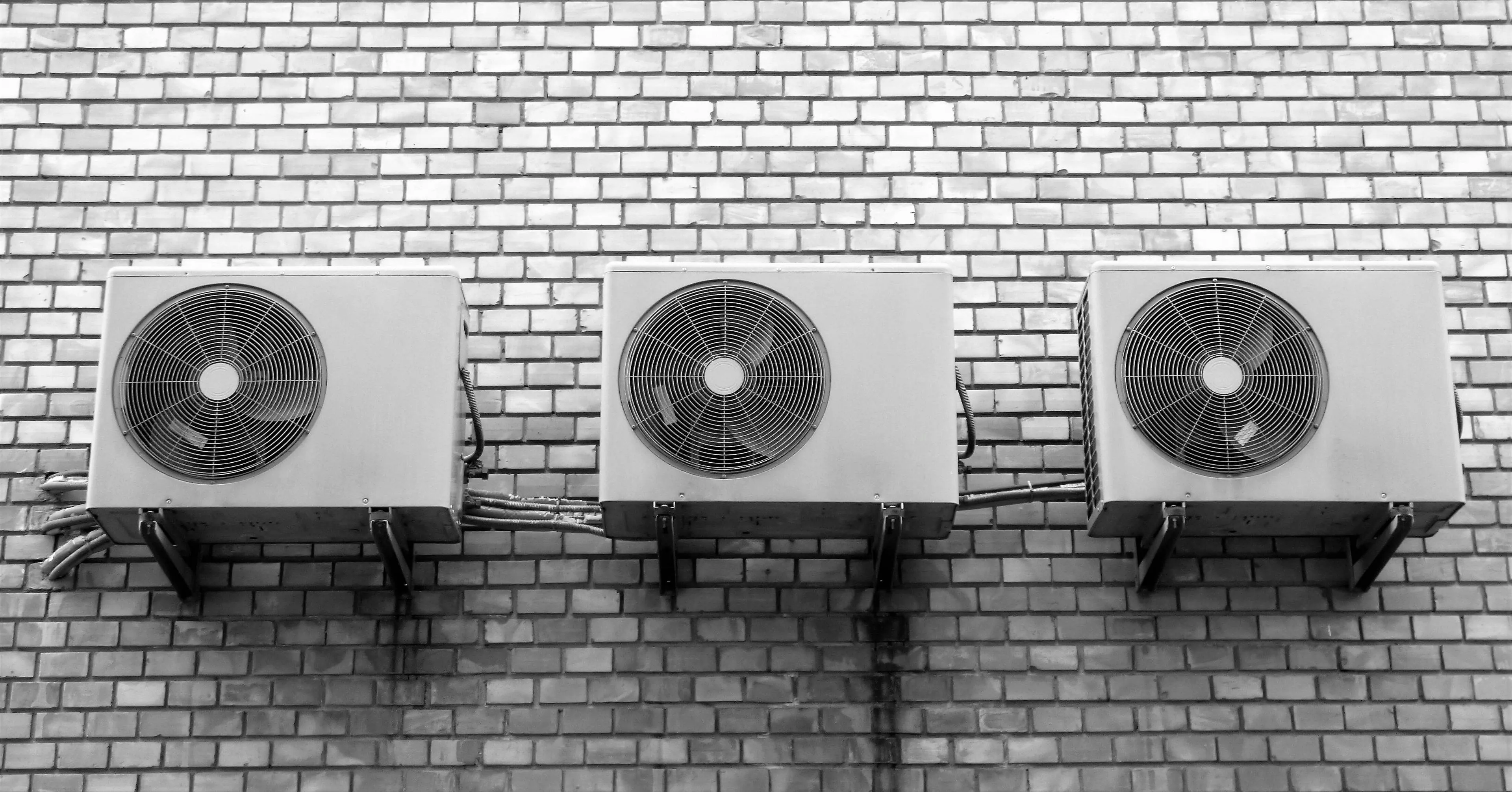 pixabay airco's matuska-wall-1801952