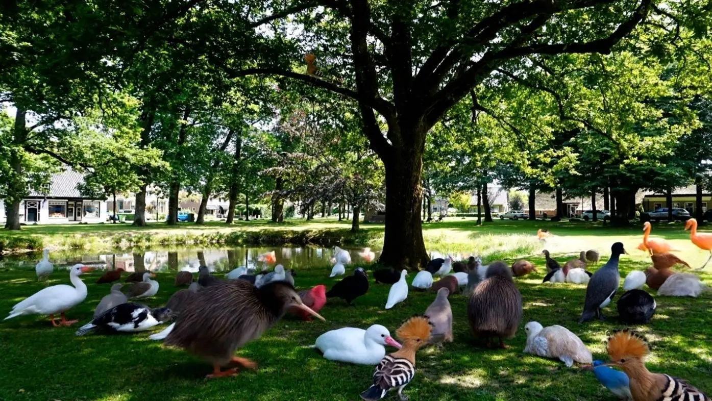 Dwingeloo vogels op de brink