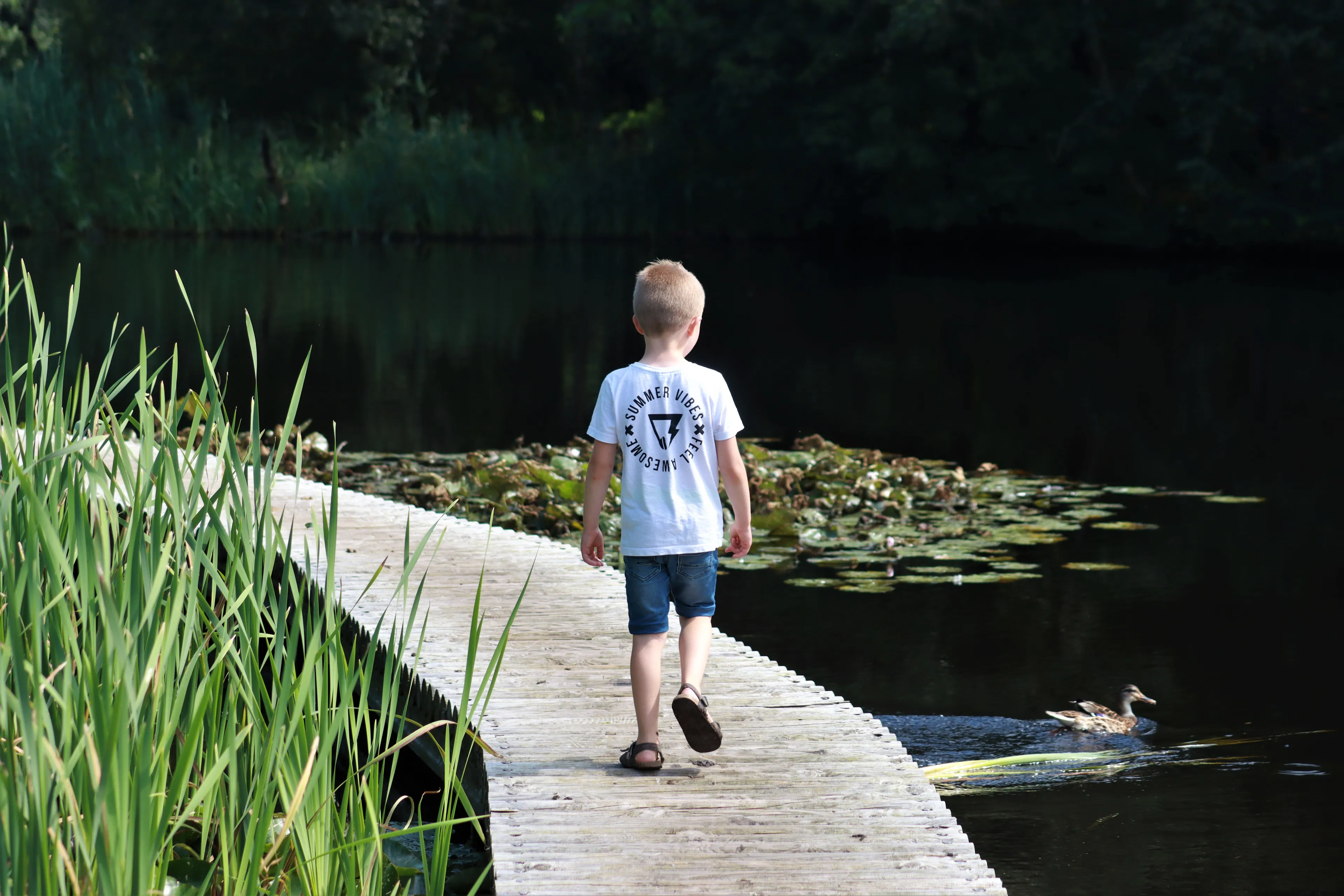 158 de invloed van water op het fryslan van de toekomst bron harrie dijkstra
