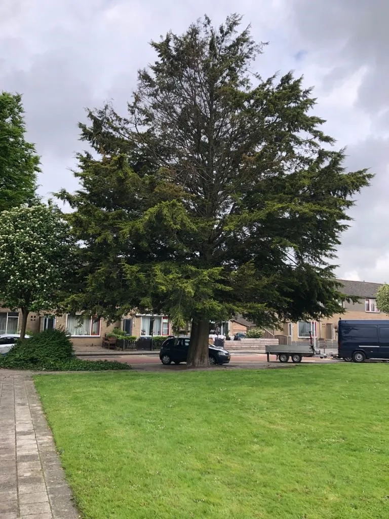 234561753 205199764979851 8835411658869106484 n 1