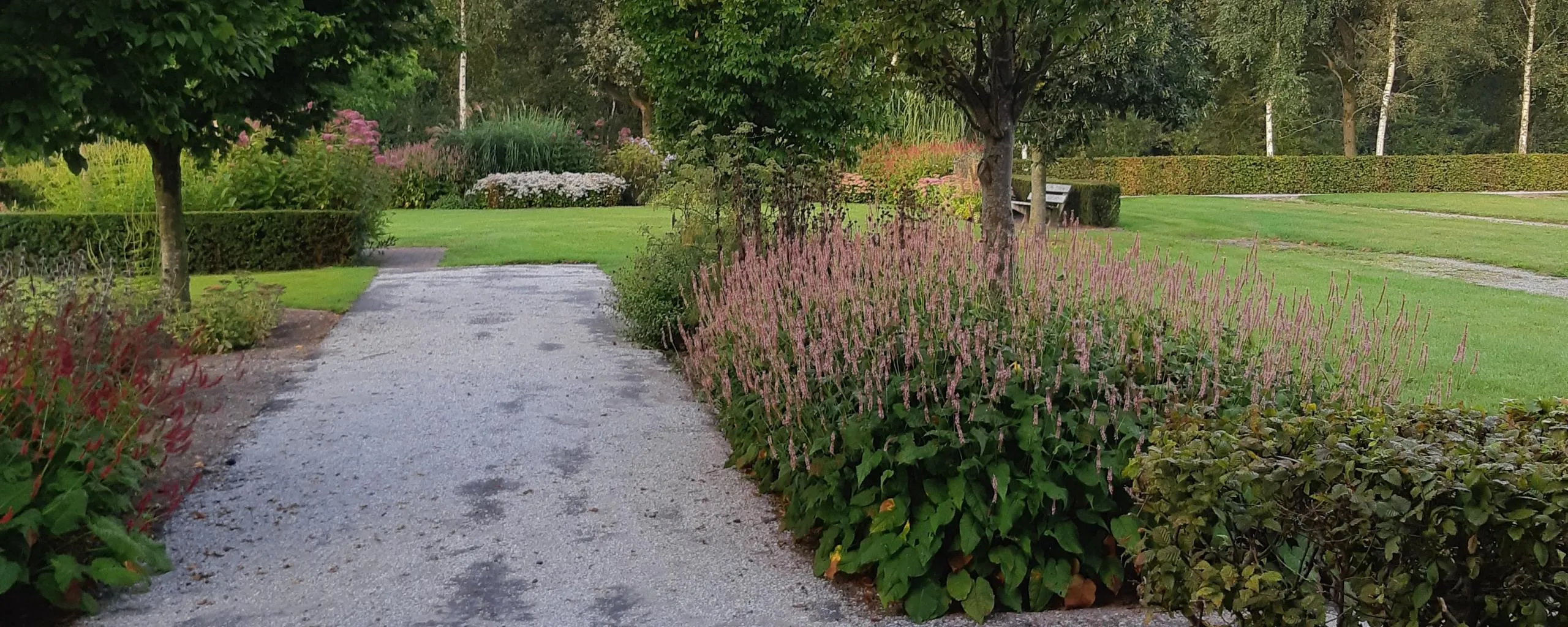 begraafplaats harich asfaltpad met schelpenlaag 1