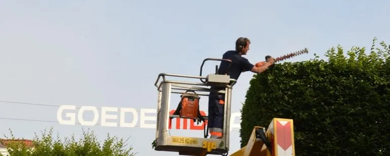 bomenonderhoud snoeien midstraat 0 768x307 1