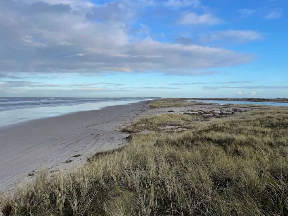boschplaat foto staatsbosbeheer