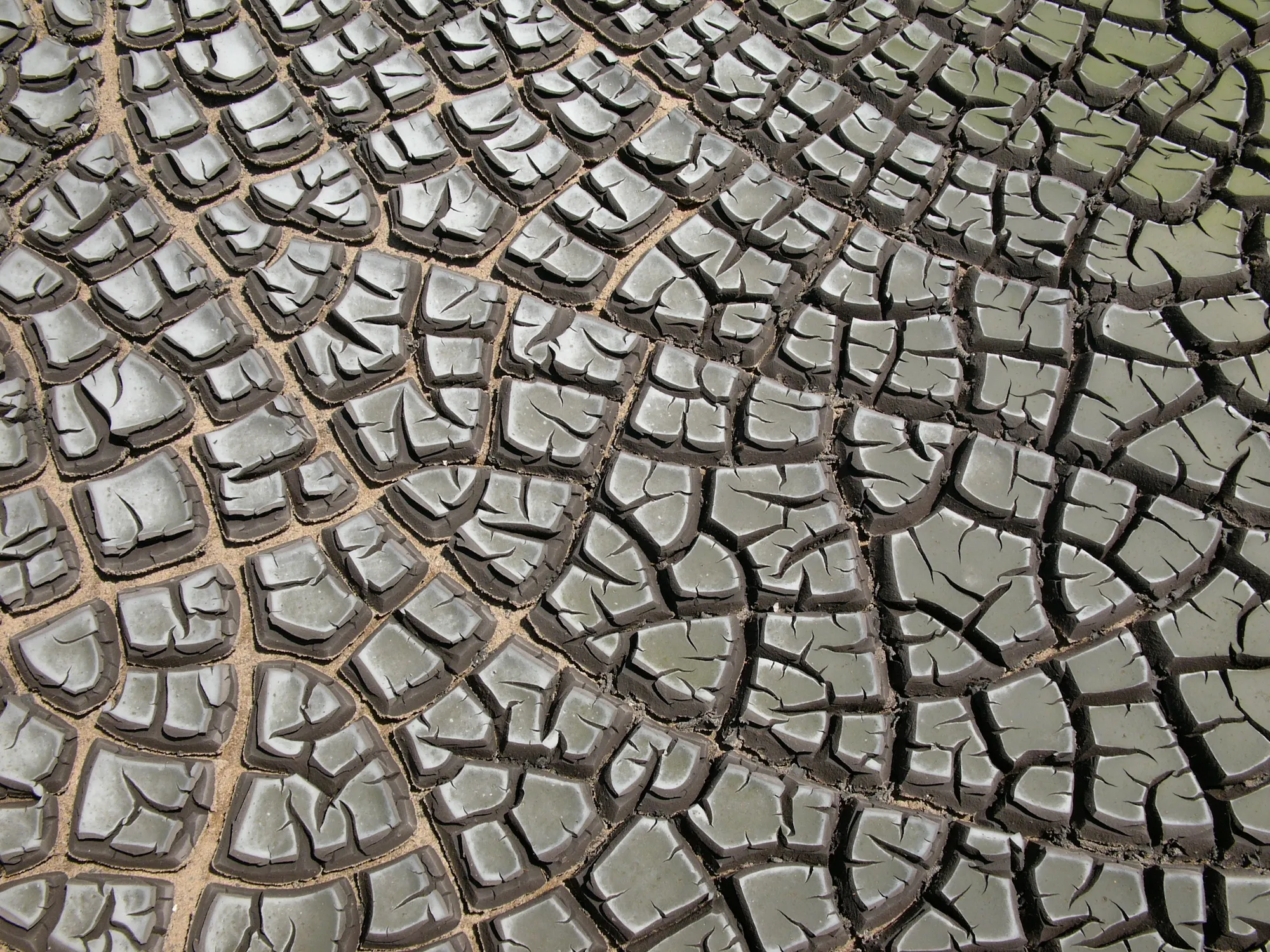 desiccation cracks hg