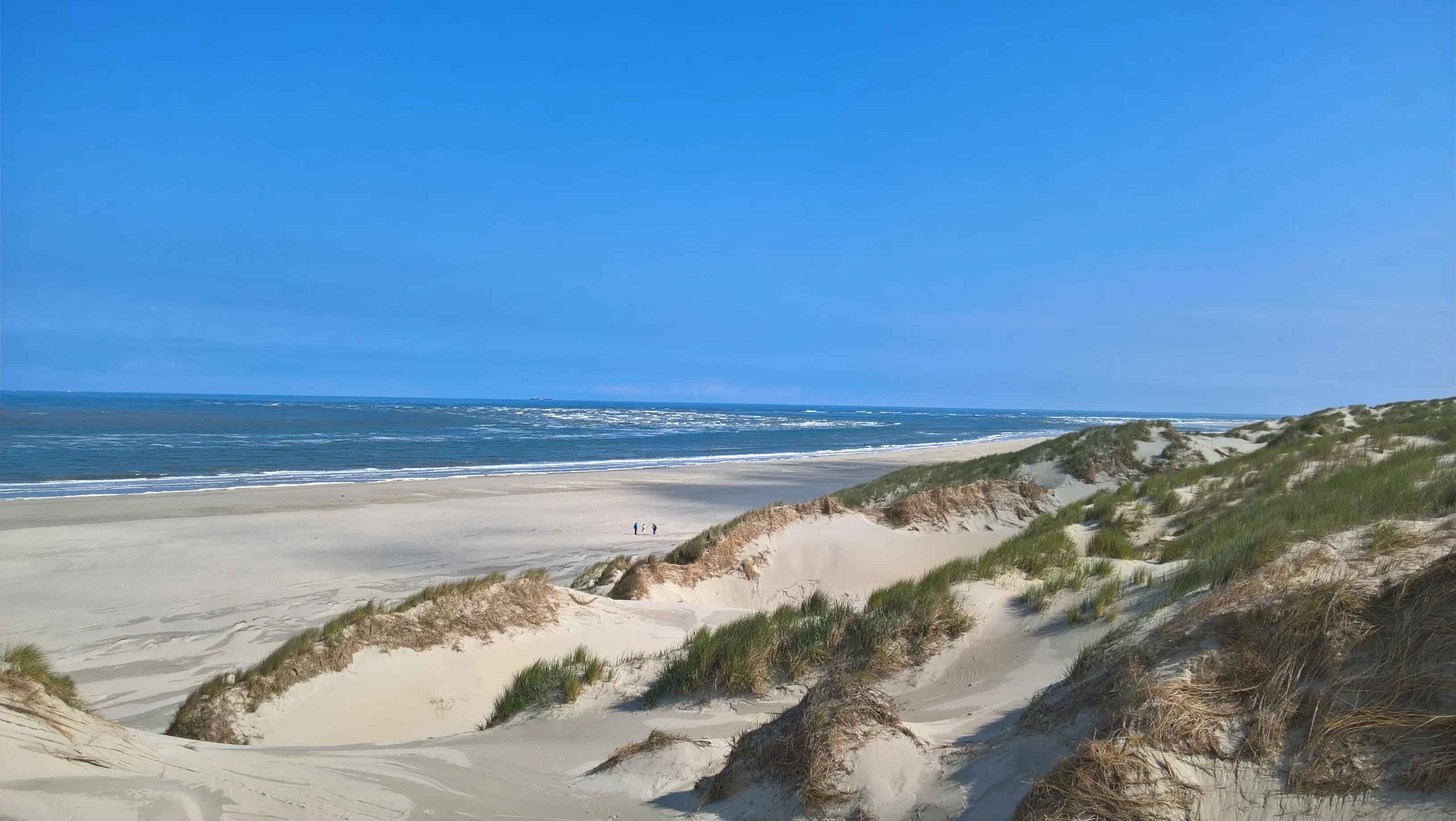 duinen terschelling