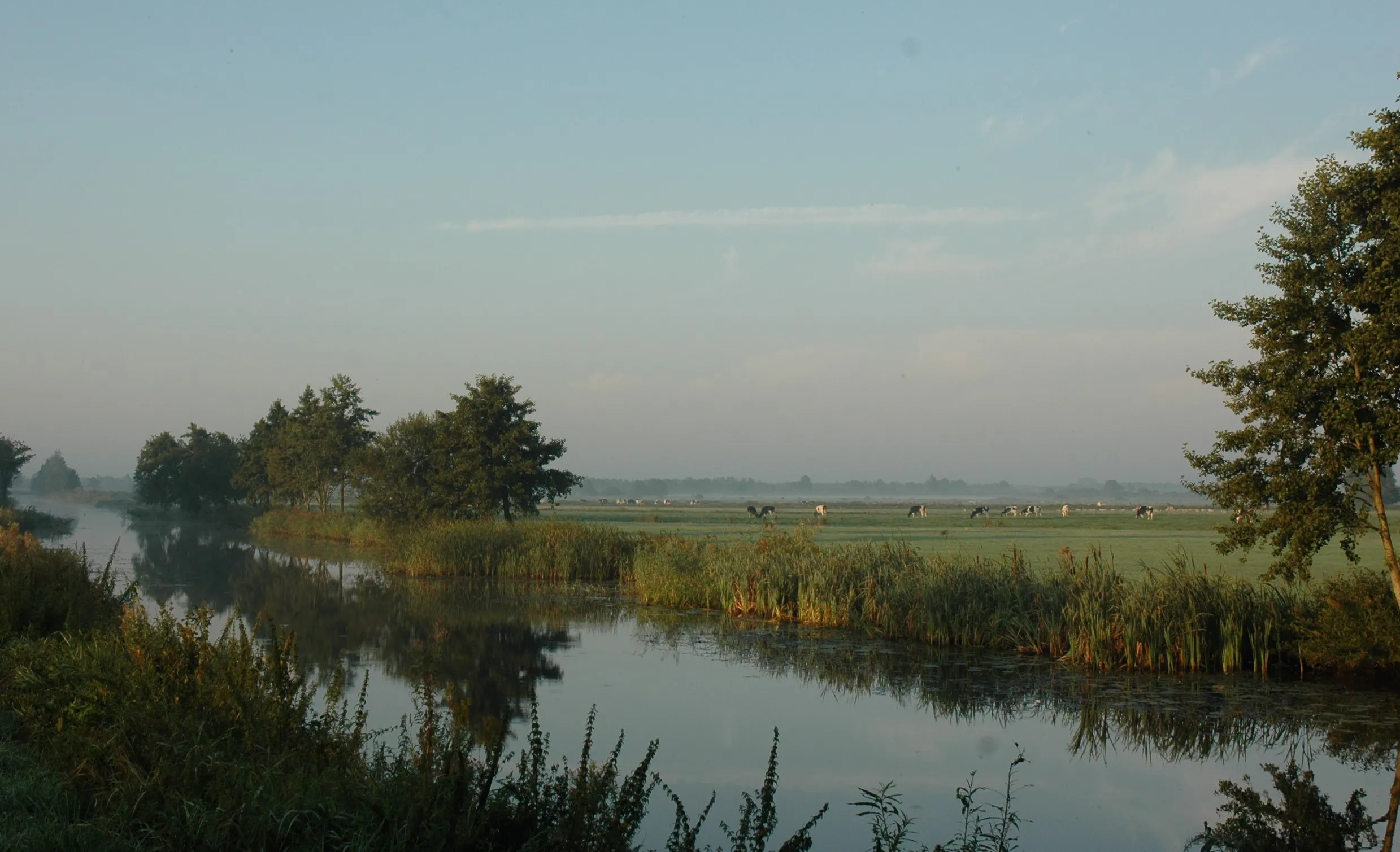 foto polder hoekstra