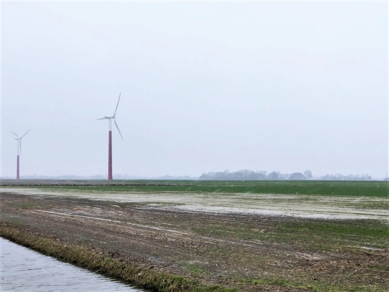 foto verzilting in fryslan peter prins