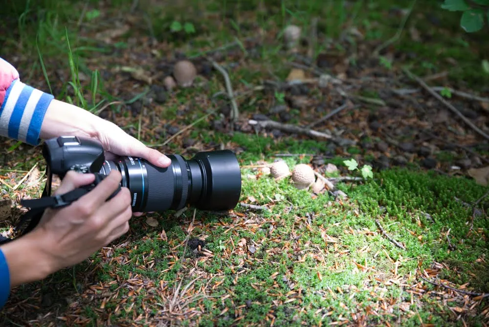 fotograaf bento wl 030716 dsc 9758