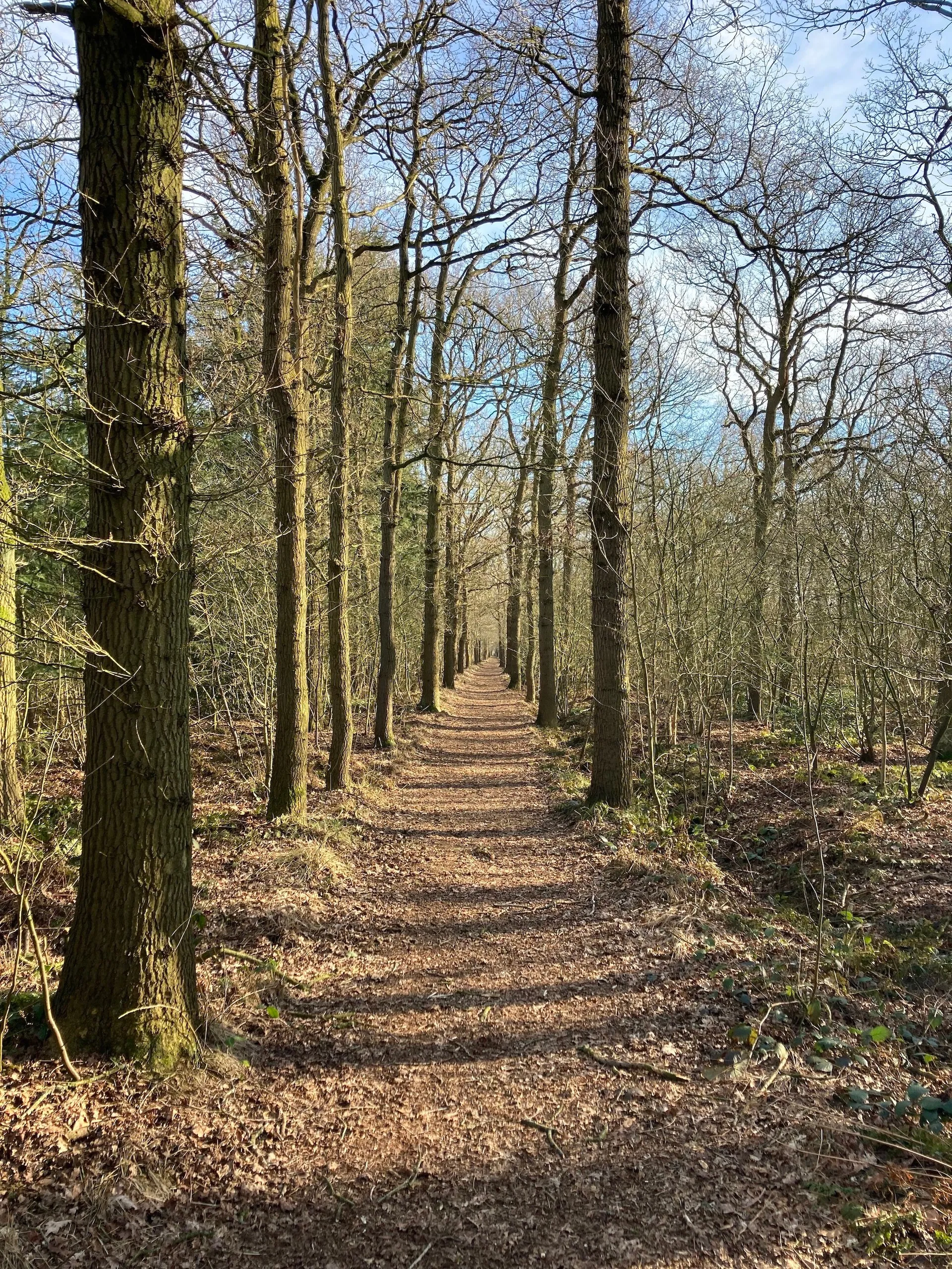 harich img 8838